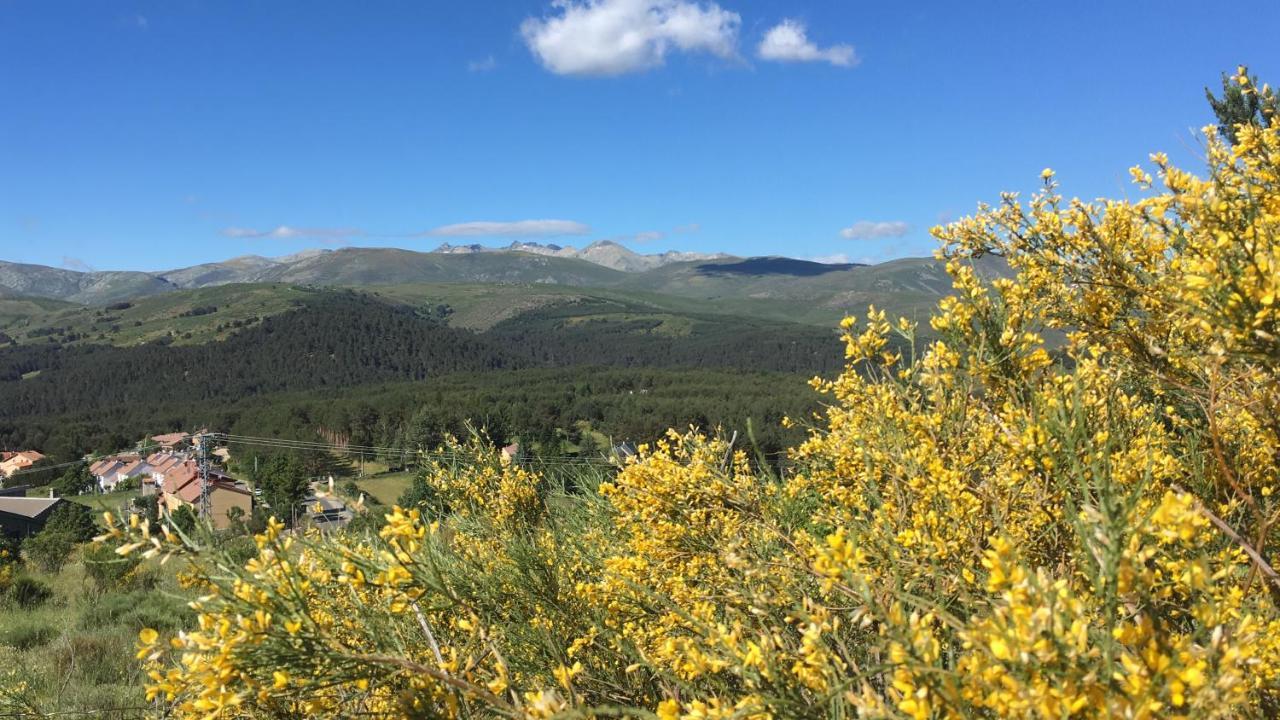 Cara Norte De Gredos Ойос-дель-Эспино Экстерьер фото